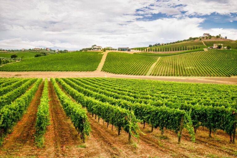 Culinary delights of Abruzzo