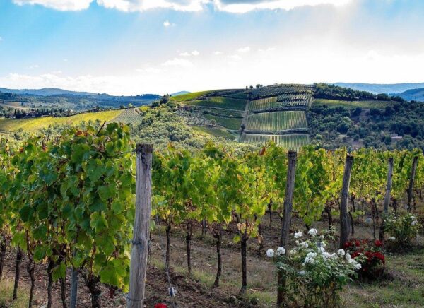 Chianti Wine Tour from Florence - Tuscan Cheese, Wine & Lunch