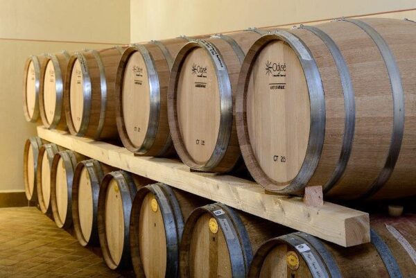 Discover Montefalco - Emotional Winery and Olive Oil Mill Tour with Lunch