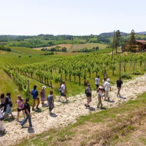 Tuscany Day Trip from Florence - Siena, San Gimignano & Pisa
