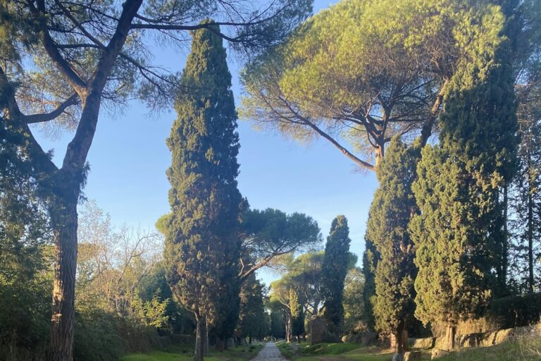 Ancient cobblestones of the Appian Way in Rome lined with pines and cypresses