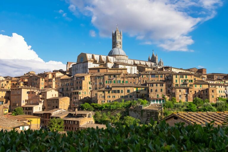 The skyline of Siena with the Duomo and the Torre del Mangia