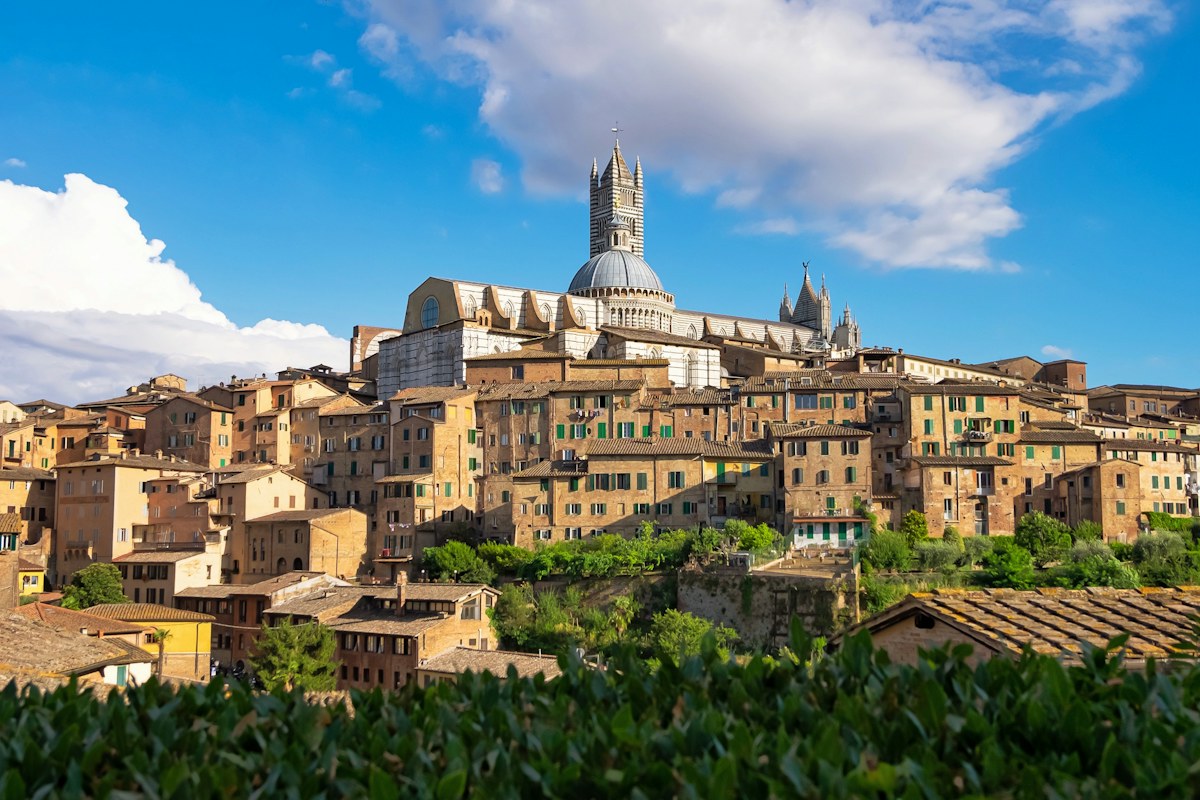 The skyline of Siena with the Duomo and the Torre del Mangia