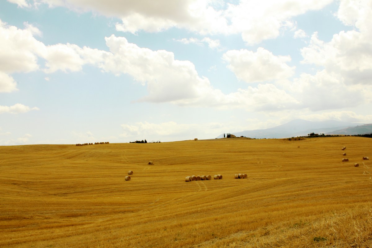 Rolling hills of the Val d’Orcia in Tuscany, which change look with the best time to visit Italy