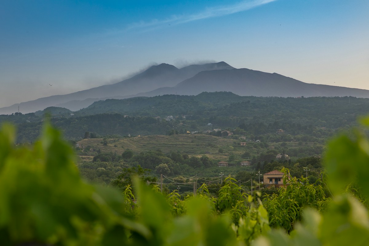 Etna wine tours: countryside on the slopes of Mount Etna in Sicily