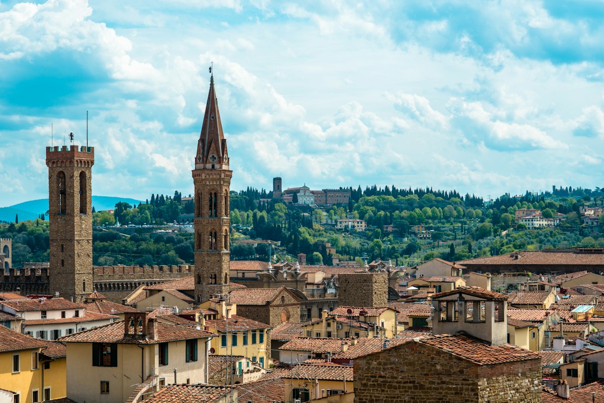 Rooftops and medieval towers of Florence
