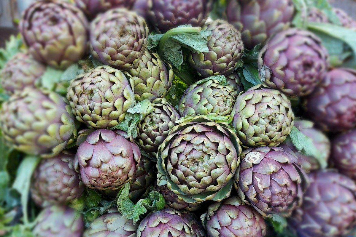 Purple artichokes at a market in Frascati, the town where Frascati wine tours start