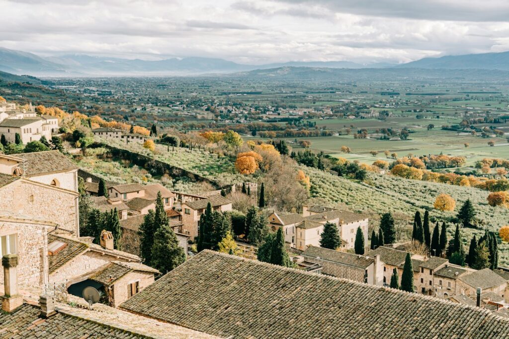 Hill town above olive groves and a wide green valley