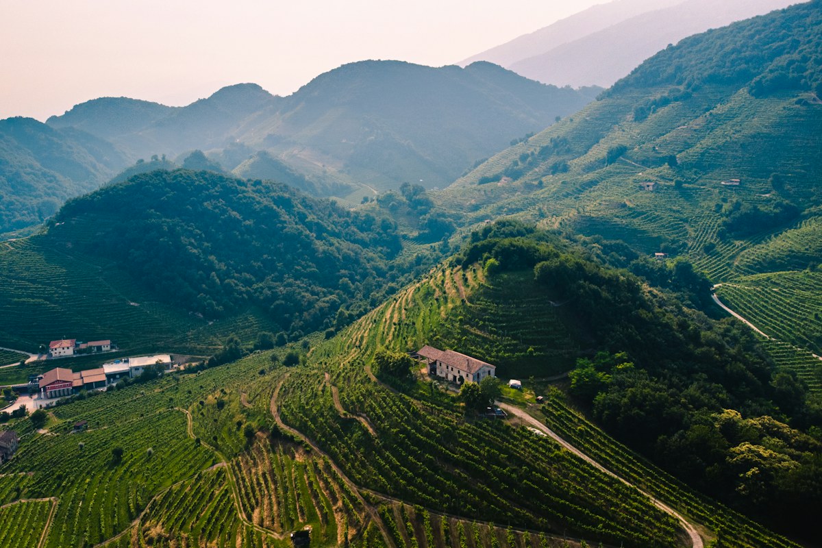 Italian Prosecco hills of Valdobbiadene with vineyards on the slopes