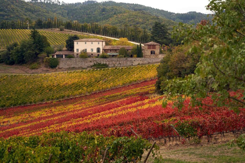 Italian wine regions: a Tuscan farmhouse among vineyards in autumn