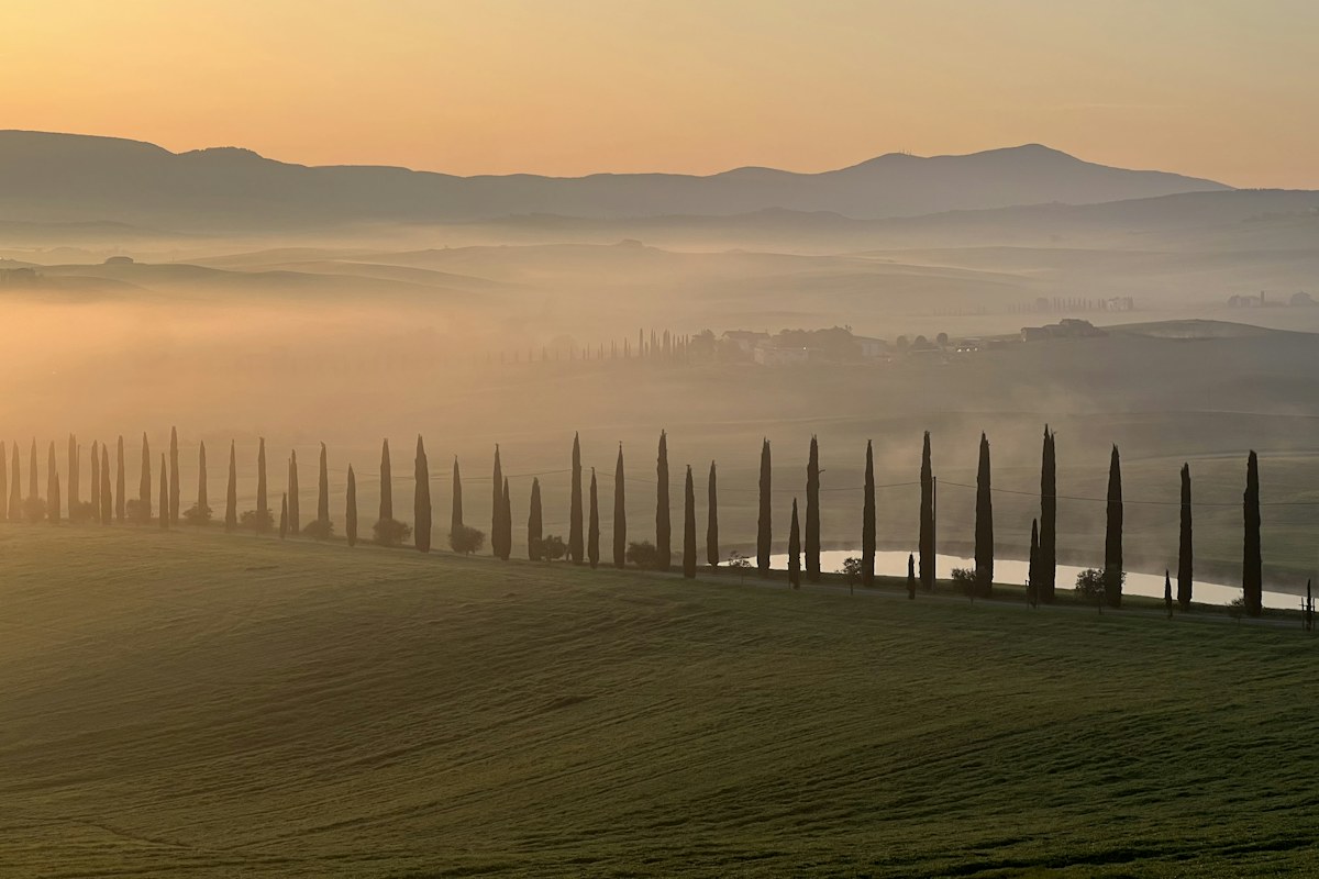 Cypress-lined road above misty hills at sunrise, the kind of landscape seen on Montalcino wine tours