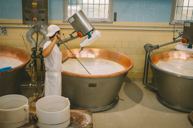 Dairy workers at copper cheese vats, the kind of stop most Parma food tours make