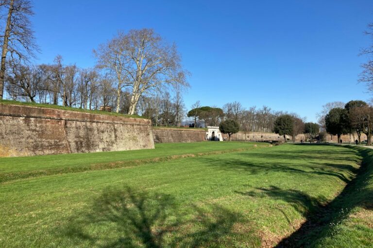 Things to do in Lucca: the tree-lined Renaissance city walls