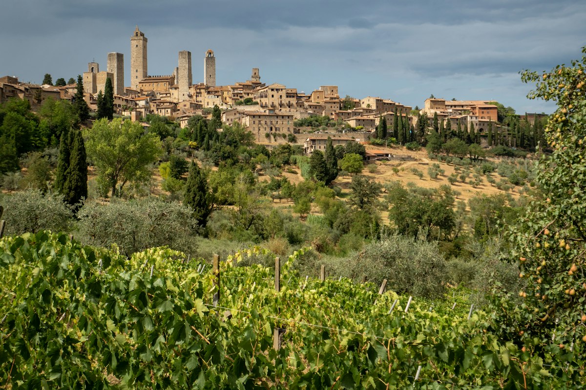 San Gimignano and its towers on a hill surrounded by trees
