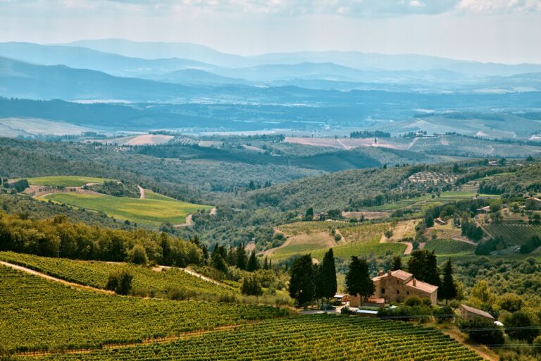 Tuscan wines country: aerial view of vineyards around Castellina in Chianti