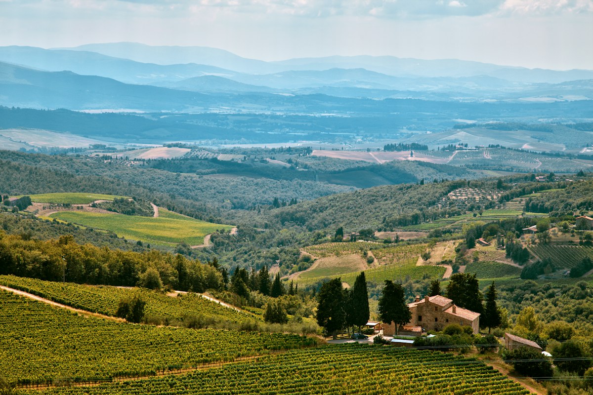 Tuscan wines country: aerial view of vineyards around Castellina in Chianti