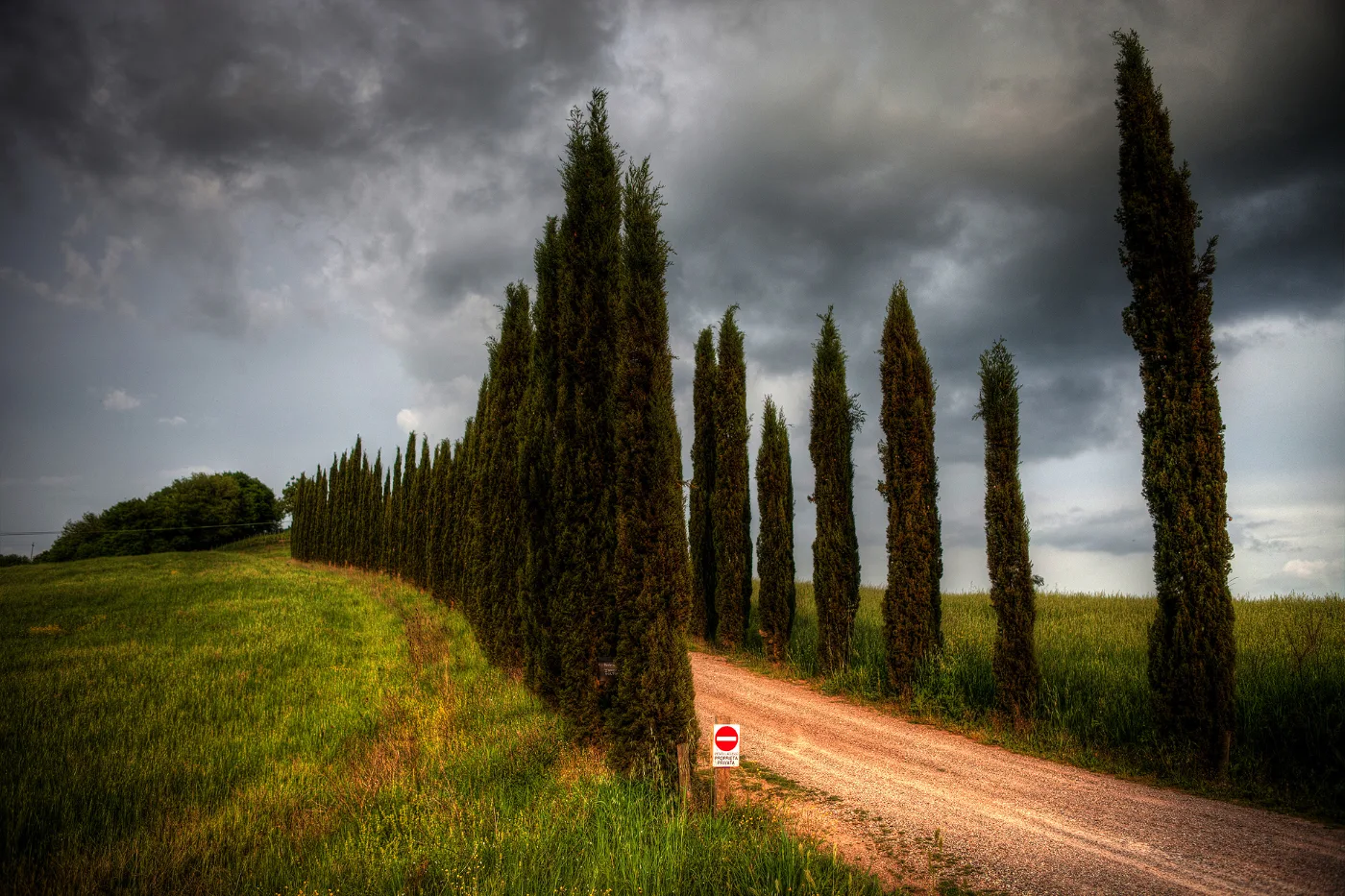 Row of cypress trees in the Tuscan countryside