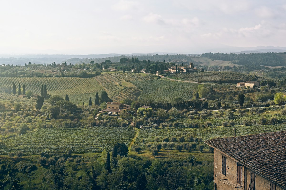 Autumn vineyards and hilltop villages in the Barolo and Barbaresco wine country