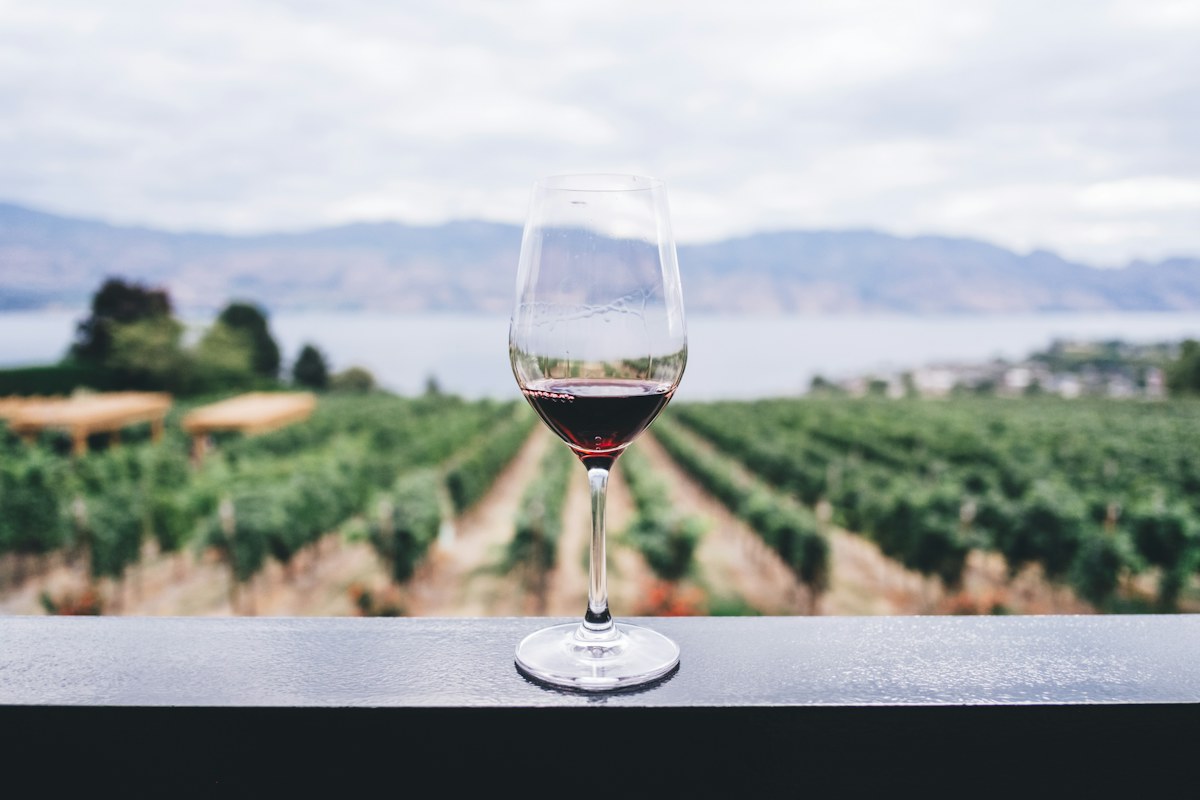 Glass of white wine on a table outdoors